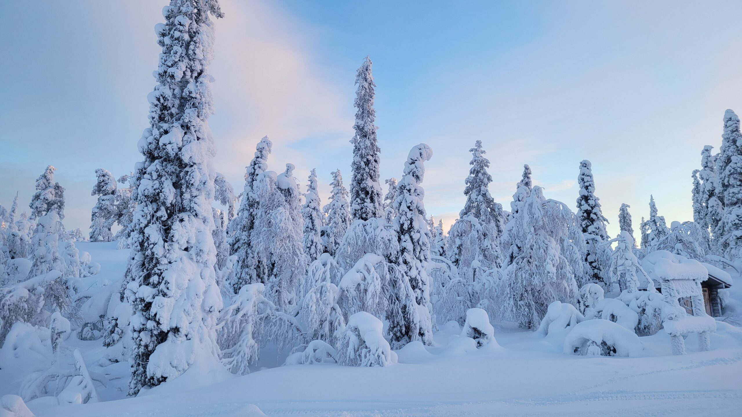 Lapland ski trip