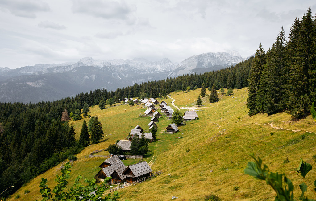 Planina zajamniki, Pokljuka, Julian Alps