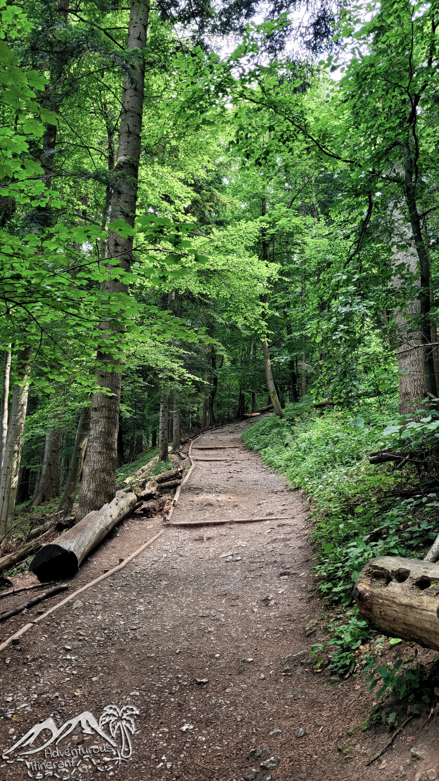 The trail on Trzy Korony hike