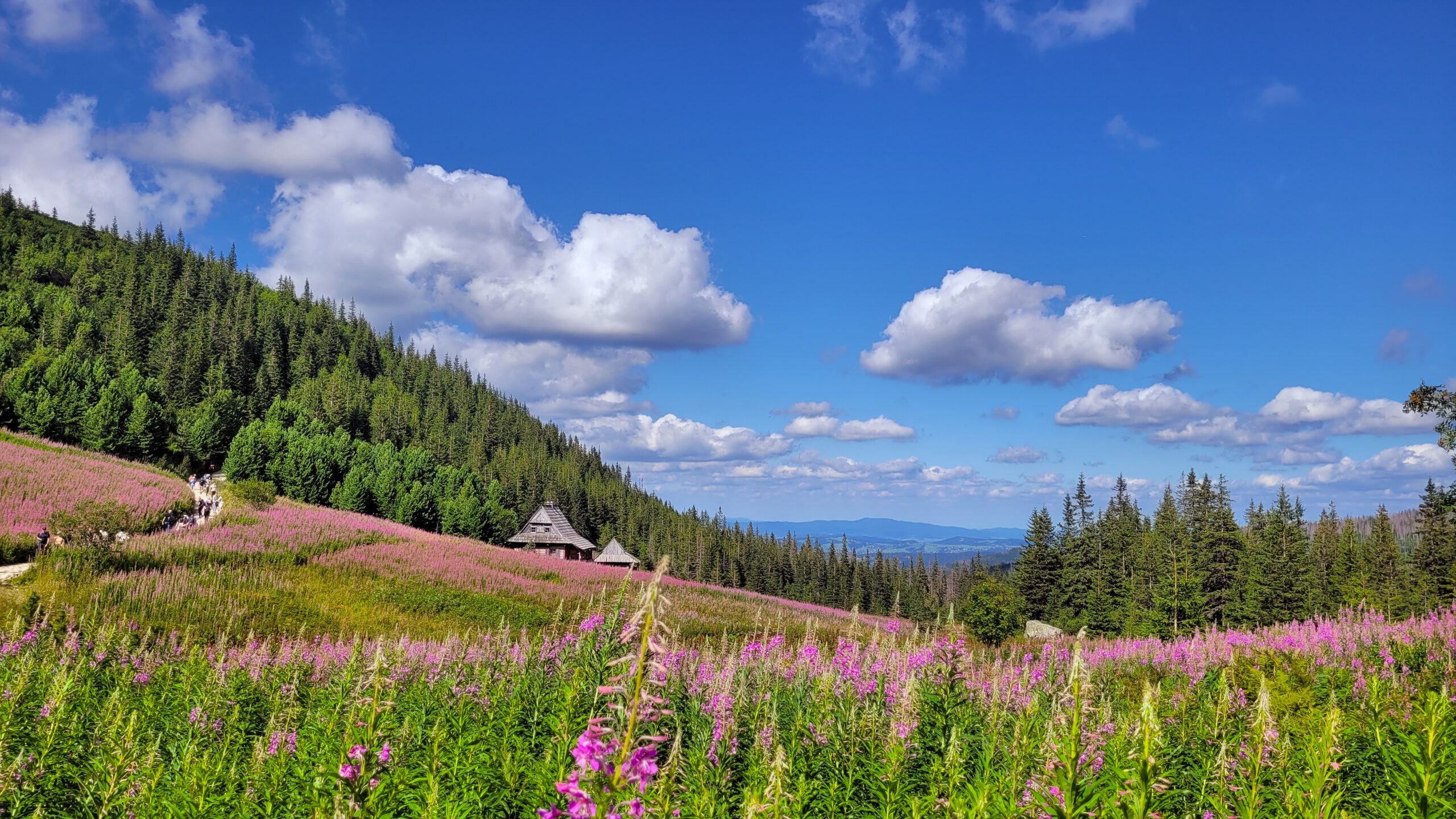 2 days in Zakopane